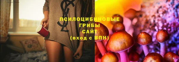 крисы Алексеевка