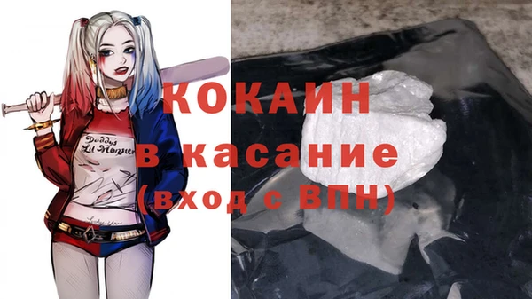 дживик Алексин