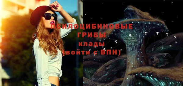 ПСИЛОЦИБИНОВЫЕ ГРИБЫ Алзамай