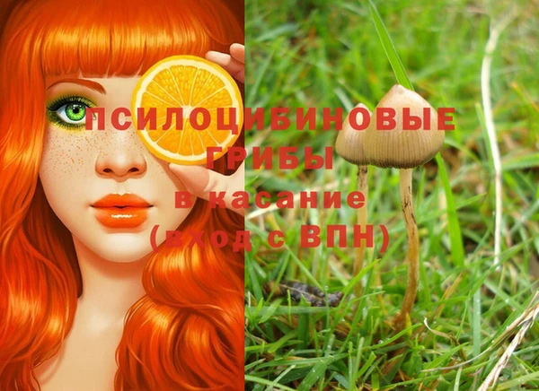 герыч Нея