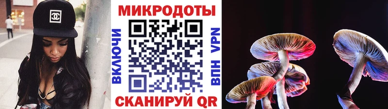 Псилоцибиновые грибы Psilocybe  Родники 